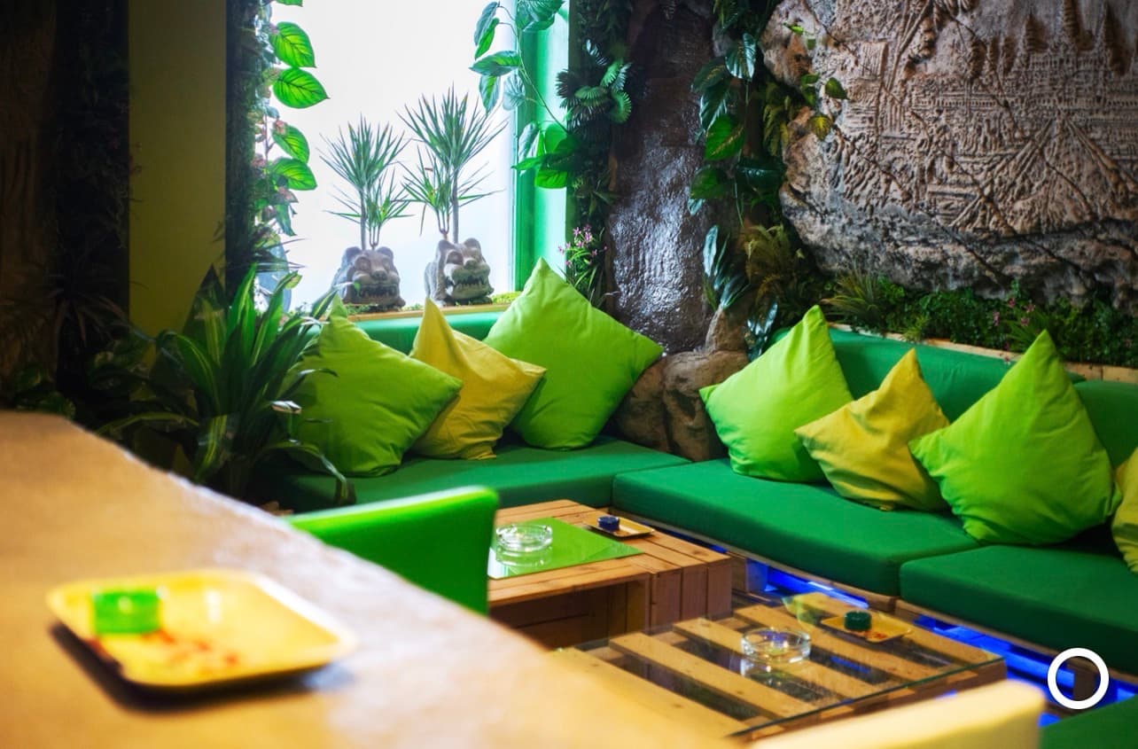 The Garden Club - Thumbnail 2