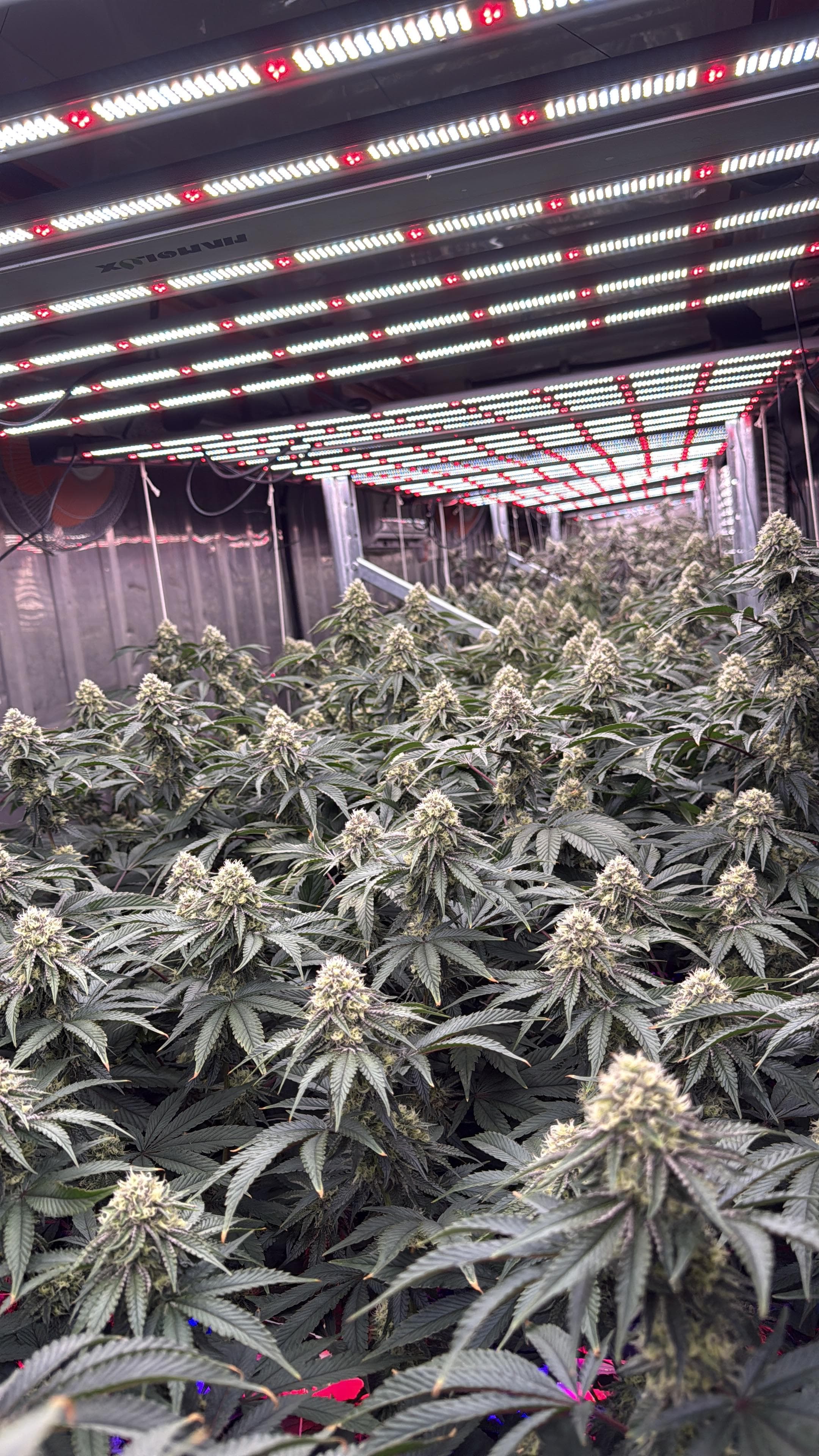 GreenTech Lab - Thumbnail 2