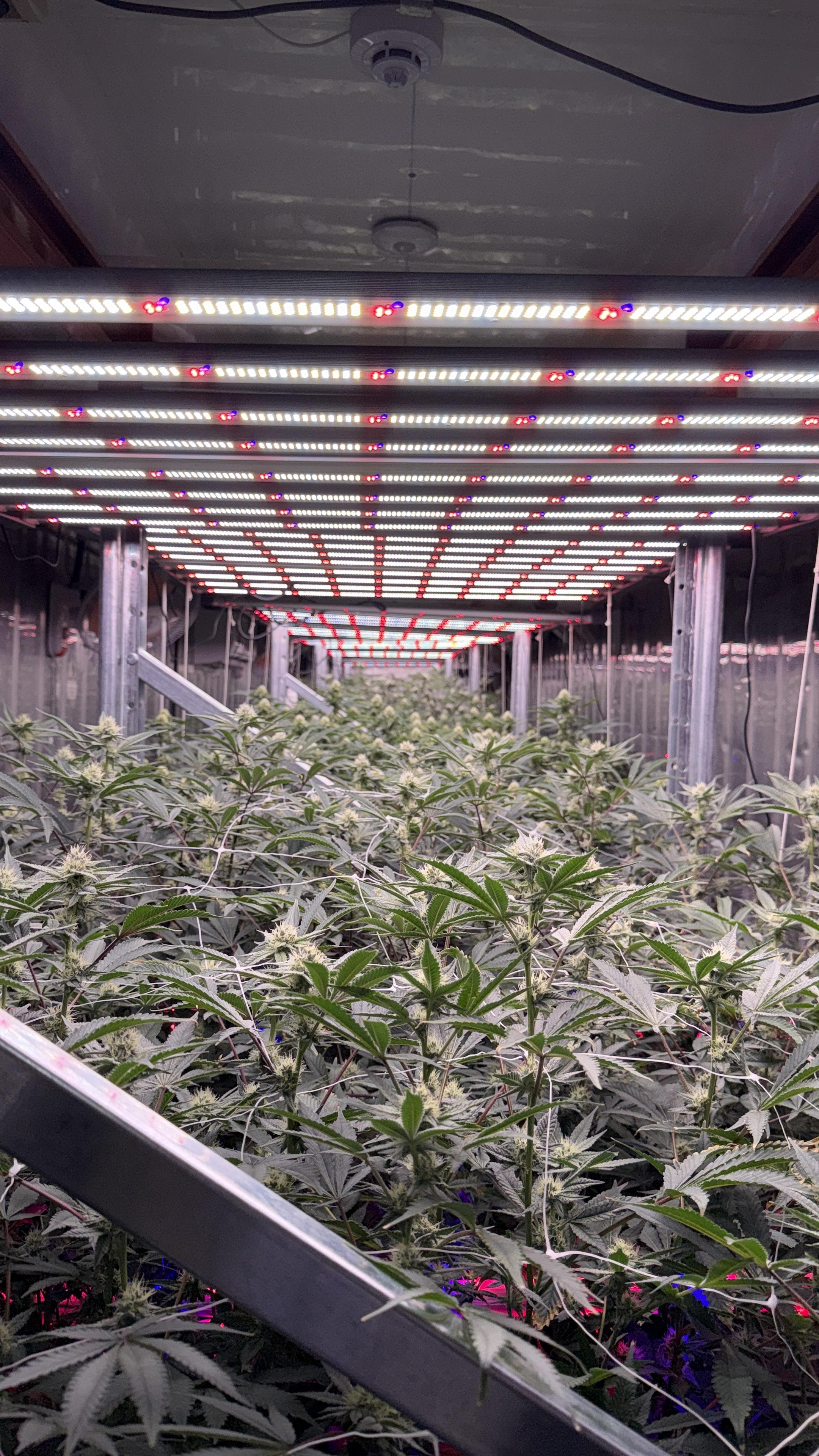 GreenTech Lab - Thumbnail 3